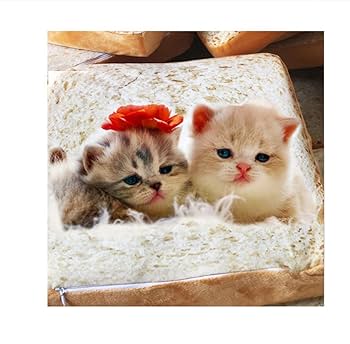イギリス　アンティーク風な柳のベッド　犬用　猫　ペット用ベッド　バスケット wd-ptbsktm_000.jpg